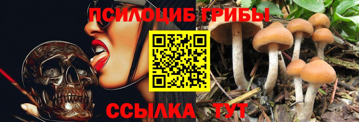 Псилоцибиновые грибы мухоморы Геленджик