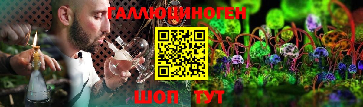 Псилоцибиновые грибы Cubensis  Вход с VPN  Псилоцибиновые грибы Psilocybine cubensis  Геленджик 